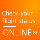 Check flight status online