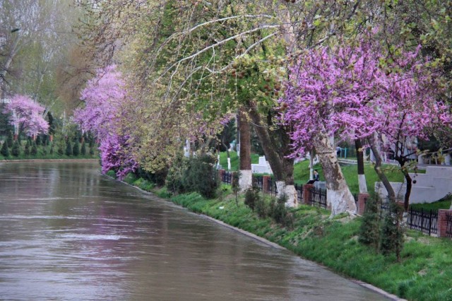 [Image: tashkent-ankhor-riverside-2.jpg]
